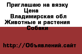 Приглашаю на вязку › Цена ­ 100 - Владимирская обл. Животные и растения » Собаки   